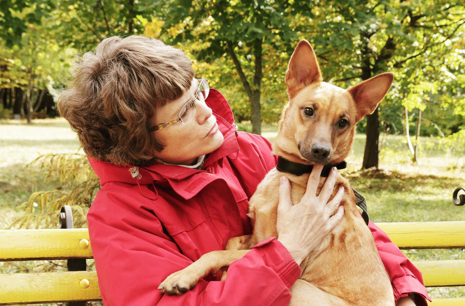 senior-pet-health-birmingham-christian-family-magazine