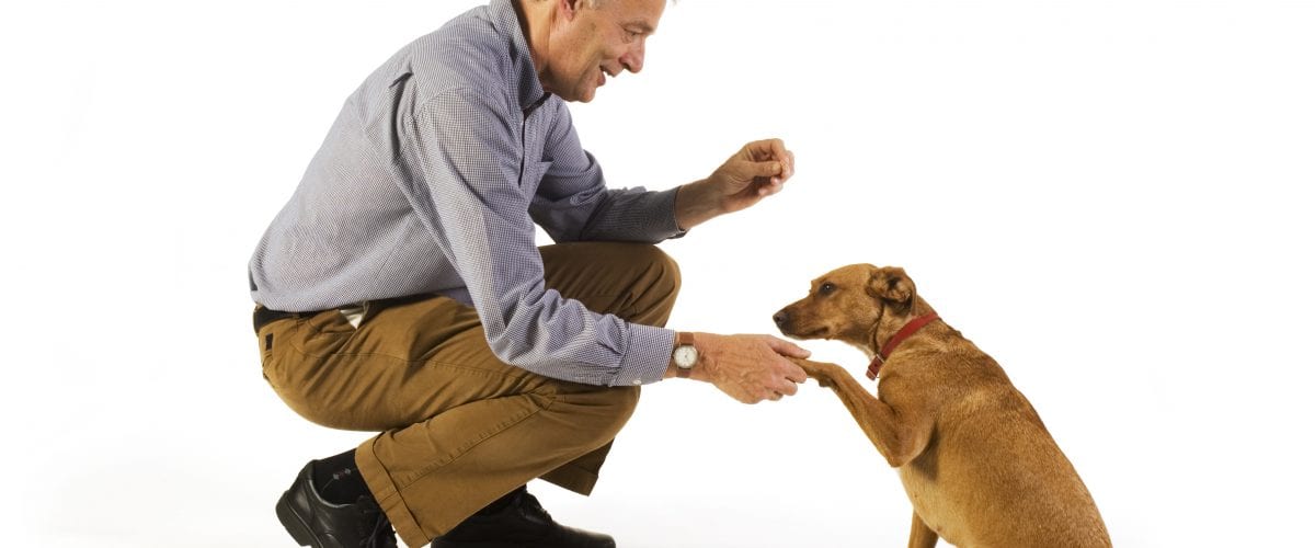 elderly man is his dog training obedience
** Note: Slight blurriness, best at smaller sizes