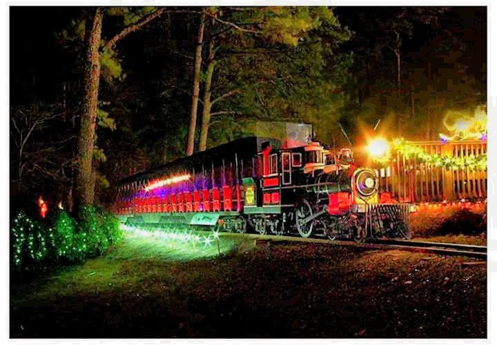 Are We There Yet Christmas at the Falls Train