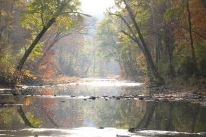 Are We There Yet Cahaba River Image Otters Home crop1 0032