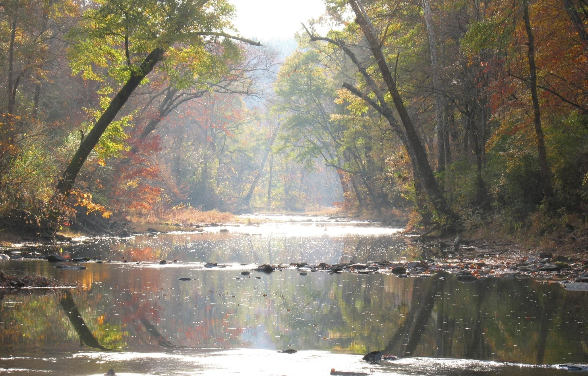 Are We There Yet Cahaba River Image Otters Home crop1 0032