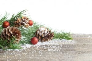 bigstock Christmas Card Pine Cone And 258664207