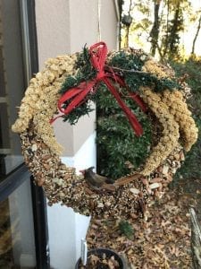 Dress up your yard while feeding the birds from this edible bird seed wreath.