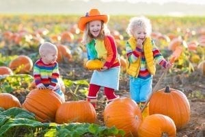 bigstock Kids Picking Pumpkins On Hallo 204211576