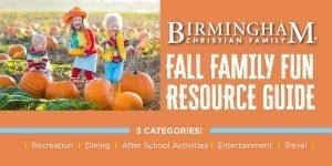 fall guide feature image