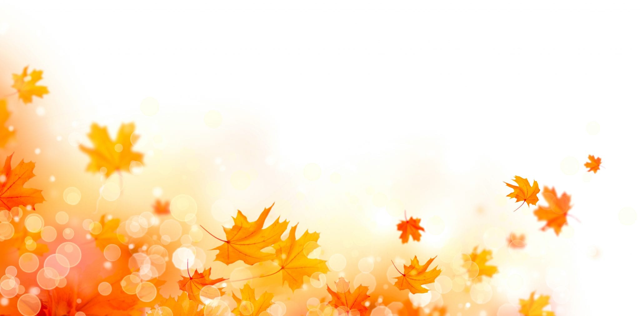 bigstock Autumn background Fall Abstra 206260687