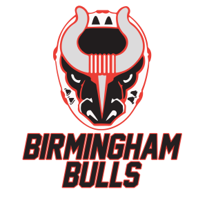  Bham Bulls logo