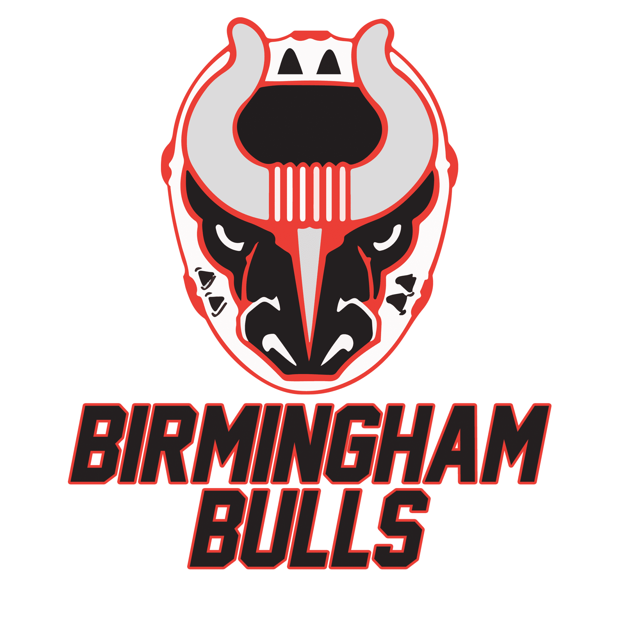 12 Gifts Bham Bulls logo
