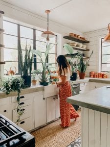 Our House Gardening Charlotte Russell with Plants