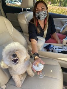 Cassie and her owner Kim in the car.