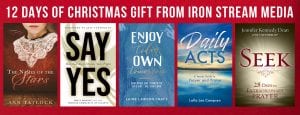 12 Gifts Bundle of Books from Iron Stream Feature Image 