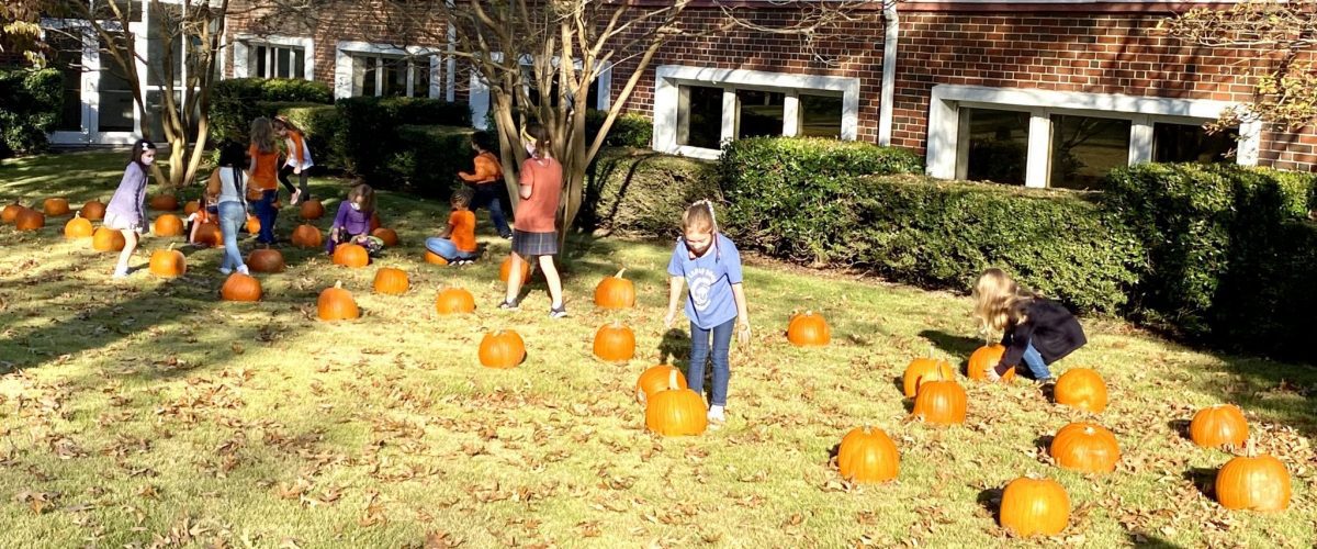 OLS School Pumpkin Patch