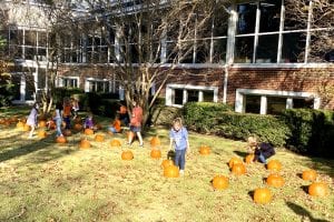 OLS School Pumpkin Patch