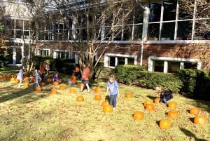 OLS School Pumpkin Patch