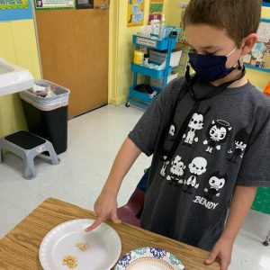 OLS School Student Counting Pumpkin Seeds