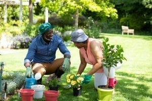 Couple Gardening