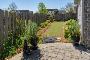 Backyard with Plants