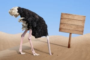 bigstock scared ostrich burying head in 73129960