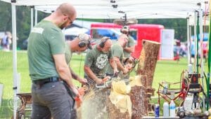 Chainsaw carvers
