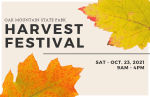 Leafy Fall Festival Flyer