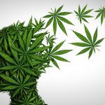 bigstock Marijuana Effects On The Brain 312760105