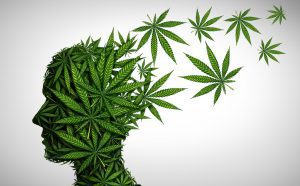 bigstock Marijuana Effects On The Brain 312760105