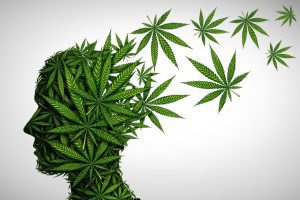 bigstock Marijuana Effects On The Brain 312760105