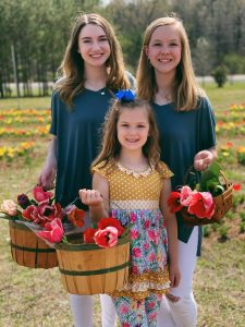 3 Girls picking tulips