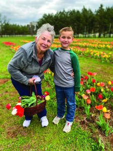 Festival of Tulips 2