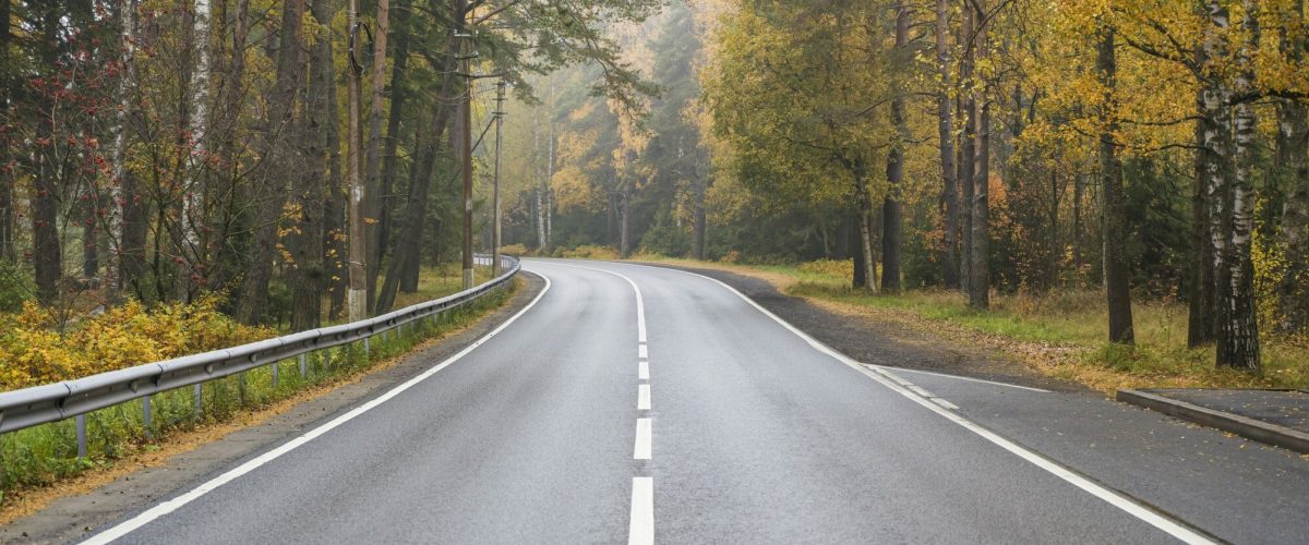 bigstock Road In The Autumn Forest Hig 436703849