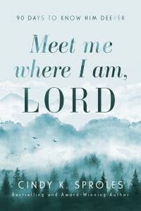 Meet Me Where I Am Lord cover image