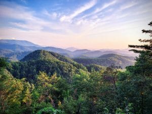 View from Your Home Away From Home Cabin