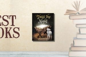 Best Books 1223 twas the night