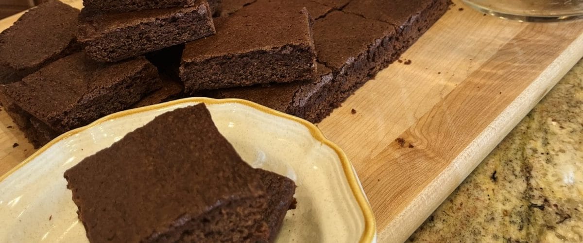 Cocoa brownies on plate