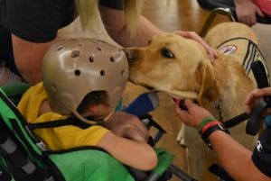 Service Dog at Special Needs Fair