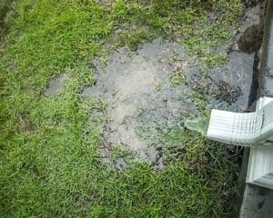 Drainage problem