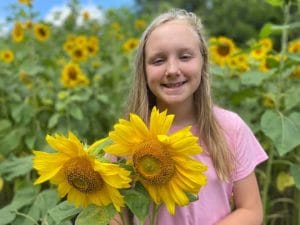 Banks with sunflowers Banks with sunflowers