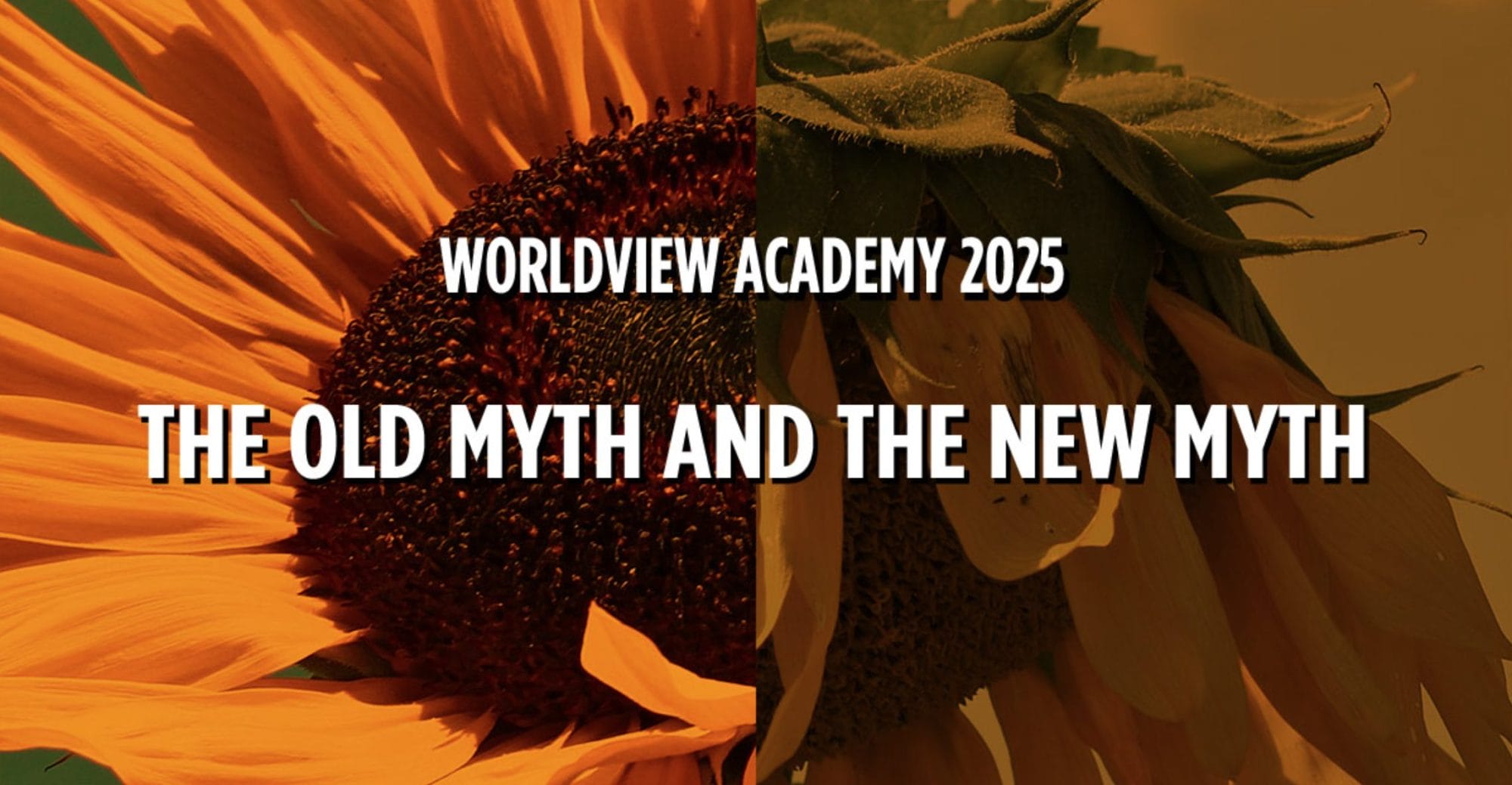 Worldview Academy