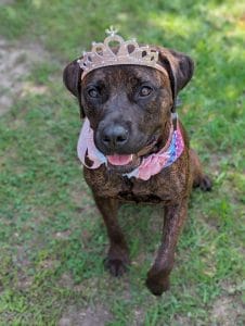 Princess Rory Princess Rory