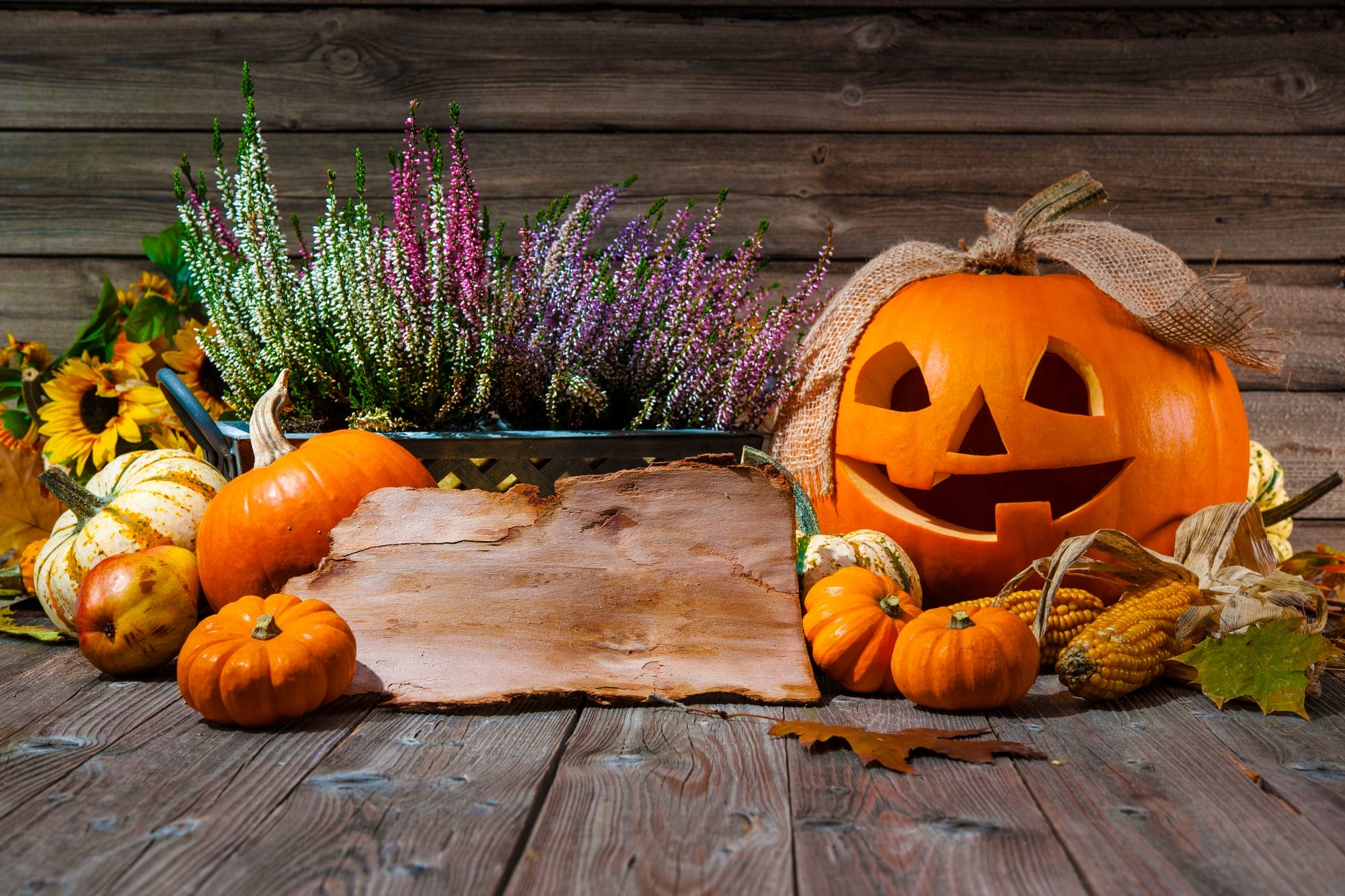 bigstock Halloween still life with pump 98693825