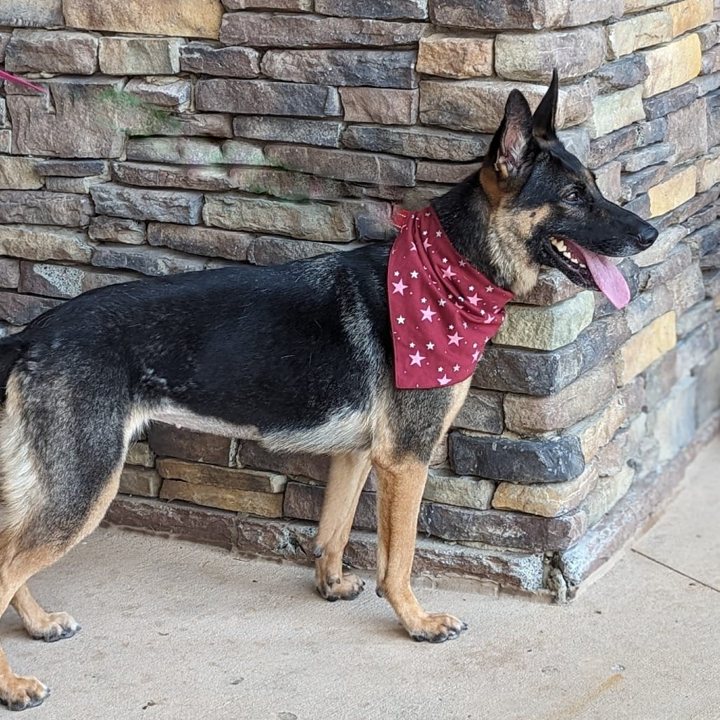 Skye