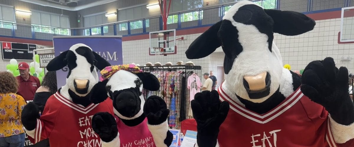 Chick fil A cows at Magnolia Festival