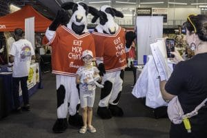 Chick fil A Herd at Expo