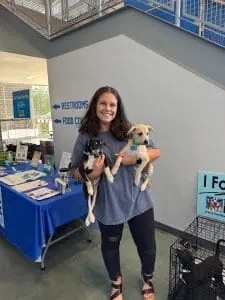 Two by Two puppies