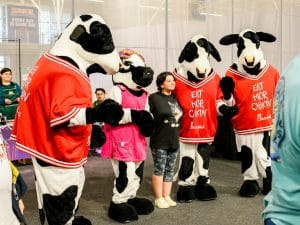 Chick fil A Herd